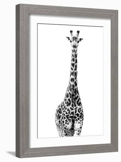 Safari Profile Collection - Giraffe White Edition II-Philippe Hugonnard-Framed Photographic Print