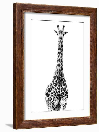 Safari Profile Collection - Giraffe White Edition II-Philippe Hugonnard-Framed Photographic Print