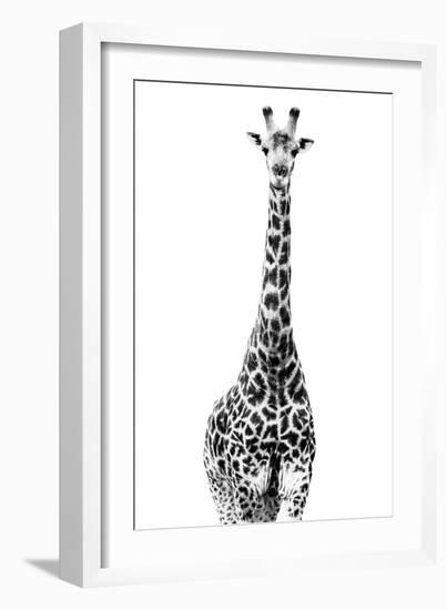 Safari Profile Collection - Giraffe White Edition II-Philippe Hugonnard-Framed Photographic Print