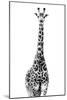 Safari Profile Collection - Giraffe White Edition II-Philippe Hugonnard-Mounted Photographic Print