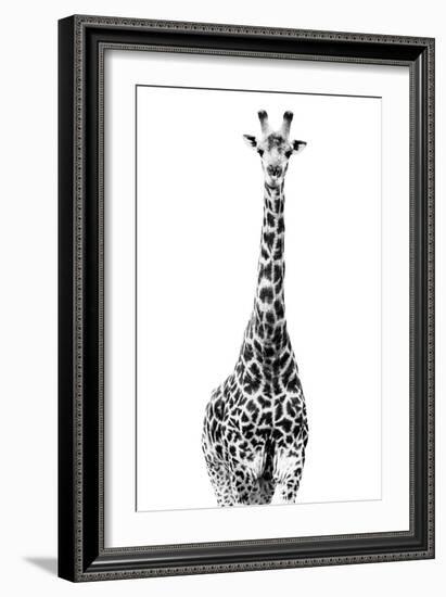 Safari Profile Collection - Giraffe White Edition II-Philippe Hugonnard-Framed Photographic Print