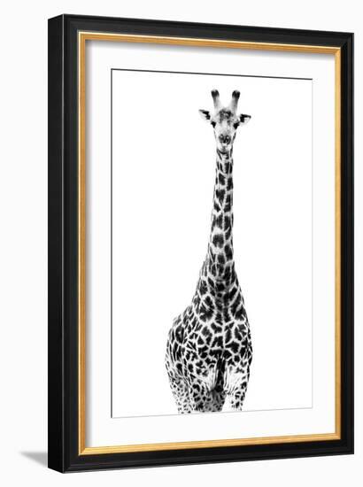 Safari Profile Collection - Giraffe White Edition II-Philippe Hugonnard-Framed Photographic Print