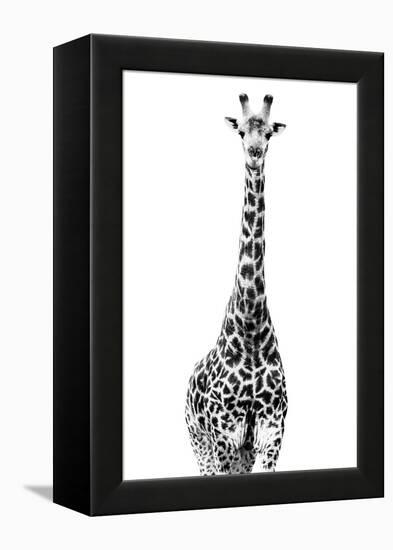 Safari Profile Collection - Giraffe White Edition II-Philippe Hugonnard-Framed Premier Image Canvas