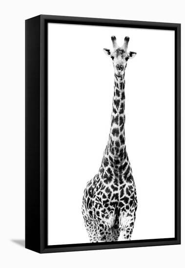 Safari Profile Collection - Giraffe White Edition II-Philippe Hugonnard-Framed Premier Image Canvas