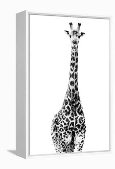 Safari Profile Collection - Giraffe White Edition II-Philippe Hugonnard-Framed Premier Image Canvas