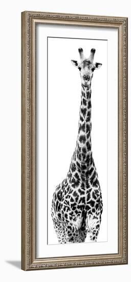 Safari Profile Collection - Giraffe White Edition IV-Philippe Hugonnard-Framed Photographic Print