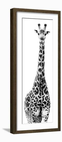 Safari Profile Collection - Giraffe White Edition IV-Philippe Hugonnard-Framed Photographic Print