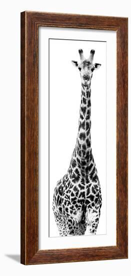 Safari Profile Collection - Giraffe White Edition IV-Philippe Hugonnard-Framed Photographic Print