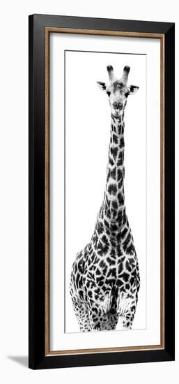 Safari Profile Collection - Giraffe White Edition IV-Philippe Hugonnard-Framed Photographic Print