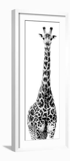 Safari Profile Collection - Giraffe White Edition IV-Philippe Hugonnard-Framed Photographic Print