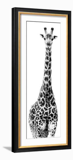 Safari Profile Collection - Giraffe White Edition IV-Philippe Hugonnard-Framed Photographic Print