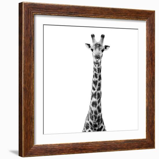 Safari Profile Collection - Giraffe White Edition VI-Philippe Hugonnard-Framed Photographic Print