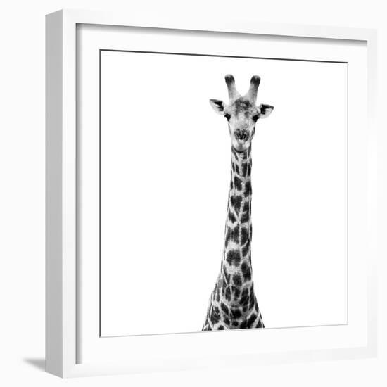 Safari Profile Collection - Giraffe White Edition VI-Philippe Hugonnard-Framed Photographic Print