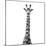 Safari Profile Collection - Giraffe White Edition VI-Philippe Hugonnard-Mounted Photographic Print