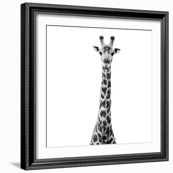 Safari Profile Collection - Giraffe White Edition VI-Philippe Hugonnard-Framed Photographic Print