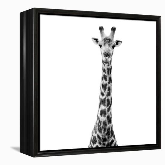 Safari Profile Collection - Giraffe White Edition VI-Philippe Hugonnard-Framed Premier Image Canvas