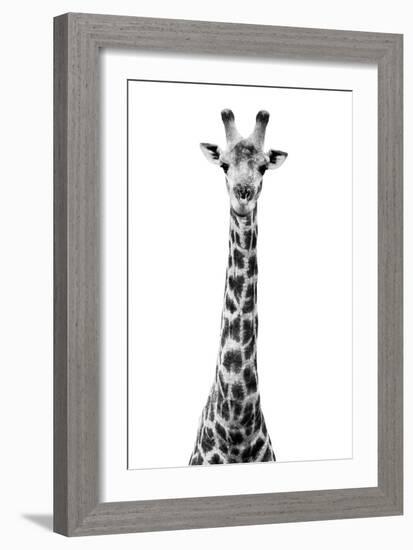 Safari Profile Collection - Giraffe White Edition VIII-Philippe Hugonnard-Framed Photographic Print