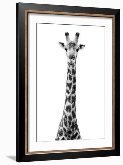 Safari Profile Collection - Giraffe White Edition VIII-Philippe Hugonnard-Framed Photographic Print