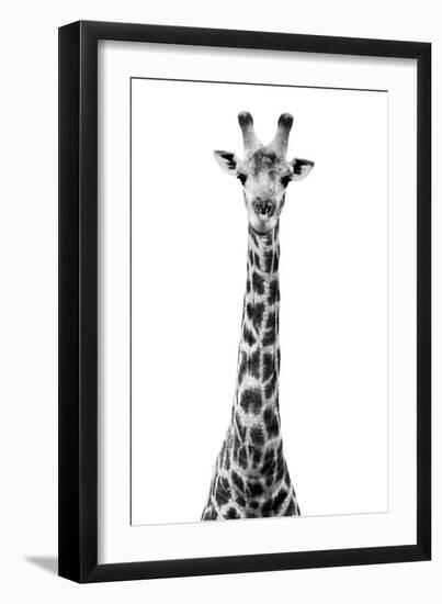 Safari Profile Collection - Giraffe White Edition VIII-Philippe Hugonnard-Framed Photographic Print