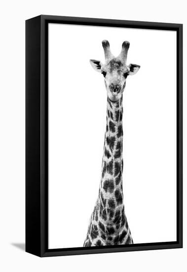 Safari Profile Collection - Giraffe White Edition VIII-Philippe Hugonnard-Framed Premier Image Canvas