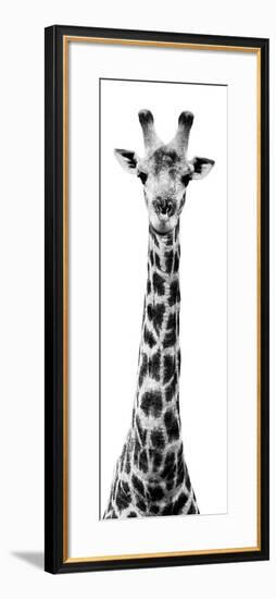 Safari Profile Collection - Giraffe White Edition X-Philippe Hugonnard-Framed Photographic Print