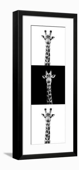 Safari Profile Collection - Giraffes IV-Philippe Hugonnard-Framed Photographic Print