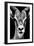 Safari Profile Collection - Portrait of Antelope Black Edition-Philippe Hugonnard-Framed Photographic Print