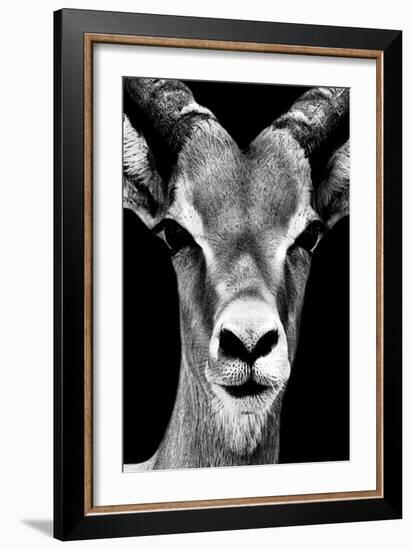 Safari Profile Collection - Portrait of Antelope Black Edition-Philippe Hugonnard-Framed Photographic Print