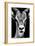 Safari Profile Collection - Portrait of Antelope Black Edition-Philippe Hugonnard-Framed Photographic Print