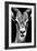 Safari Profile Collection - Portrait of Antelope Black Edition-Philippe Hugonnard-Framed Photographic Print