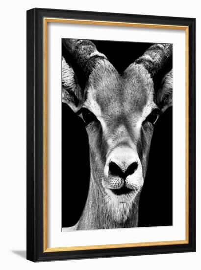 Safari Profile Collection - Portrait of Antelope Black Edition-Philippe Hugonnard-Framed Photographic Print