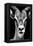 Safari Profile Collection - Portrait of Antelope Black Edition-Philippe Hugonnard-Framed Premier Image Canvas