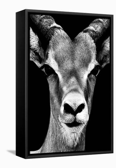 Safari Profile Collection - Portrait of Antelope Black Edition-Philippe Hugonnard-Framed Premier Image Canvas