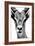 Safari Profile Collection - Portrait of Antelope White Edition-Philippe Hugonnard-Framed Photographic Print