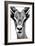 Safari Profile Collection - Portrait of Antelope White Edition-Philippe Hugonnard-Framed Photographic Print