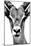 Safari Profile Collection - Portrait of Antelope White Edition-Philippe Hugonnard-Mounted Photographic Print
