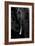 Safari Profile Collection - Portrait of Elephant Black Edition-Philippe Hugonnard-Framed Photographic Print