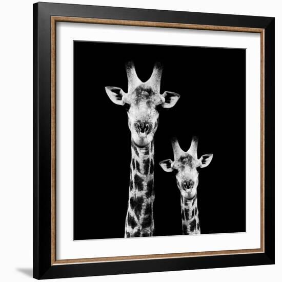 Safari Profile Collection - Portrait of Giraffe and Baby Black Edition II-Philippe Hugonnard-Framed Photographic Print