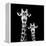 Safari Profile Collection - Portrait of Giraffe and Baby Black Edition II-Philippe Hugonnard-Framed Premier Image Canvas