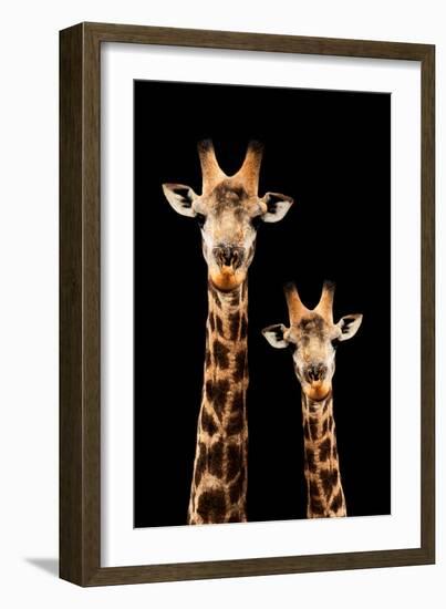 Safari Profile Collection - Portrait of Giraffe and Baby Black Edition III-Philippe Hugonnard-Framed Photographic Print