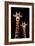 Safari Profile Collection - Portrait of Giraffe and Baby Black Edition III-Philippe Hugonnard-Framed Photographic Print