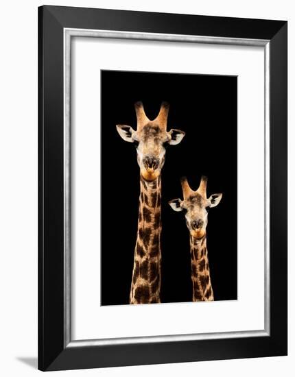 Safari Profile Collection - Portrait of Giraffe and Baby Black Edition III-Philippe Hugonnard-Framed Photographic Print