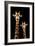 Safari Profile Collection - Portrait of Giraffe and Baby Black Edition III-Philippe Hugonnard-Framed Photographic Print