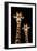 Safari Profile Collection - Portrait of Giraffe and Baby Black Edition III-Philippe Hugonnard-Framed Photographic Print