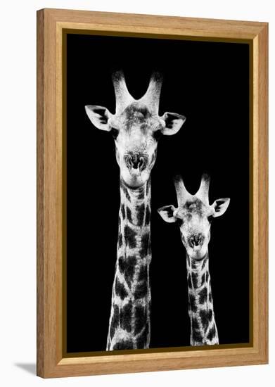 Safari Profile Collection - Portrait of Giraffe and Baby Black Edition IV-Philippe Hugonnard-Framed Premier Image Canvas