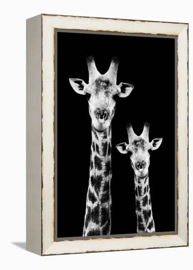 Safari Profile Collection - Portrait of Giraffe and Baby Black Edition IV-Philippe Hugonnard-Framed Premier Image Canvas