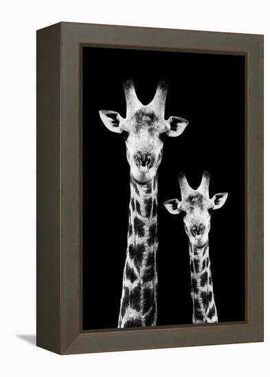 Safari Profile Collection - Portrait of Giraffe and Baby Black Edition IV-Philippe Hugonnard-Framed Premier Image Canvas