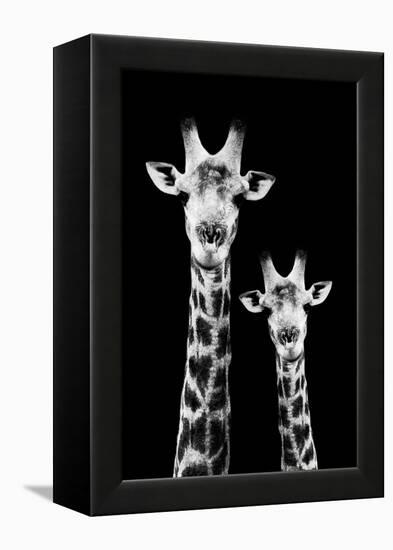 Safari Profile Collection - Portrait of Giraffe and Baby Black Edition IV-Philippe Hugonnard-Framed Premier Image Canvas