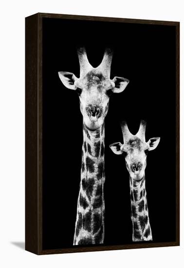 Safari Profile Collection - Portrait of Giraffe and Baby Black Edition IV-Philippe Hugonnard-Framed Premier Image Canvas