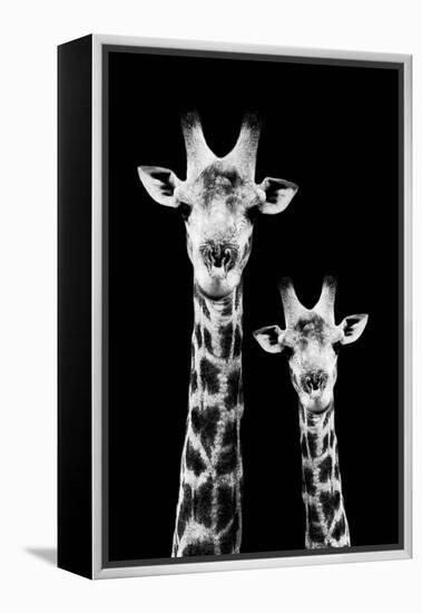 Safari Profile Collection - Portrait of Giraffe and Baby Black Edition IV-Philippe Hugonnard-Framed Premier Image Canvas